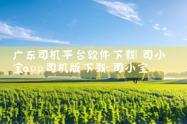 广东司机平台软件下载