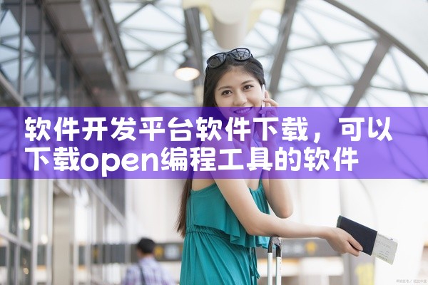 软件开发平台软件下载