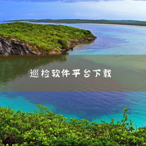 基础巡检软件适用于物业、安保及设备维护场景,支持现场巡检数据录入与报告生成。通过内置的文档处理引擎,用户可快速导出标准化巡检报表,确保工作记录留痕,提升企业内部管理的规范性与透明度。 点击链接获取网盘,