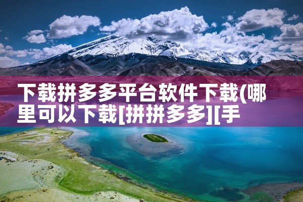 下载拼多多平台软件下载