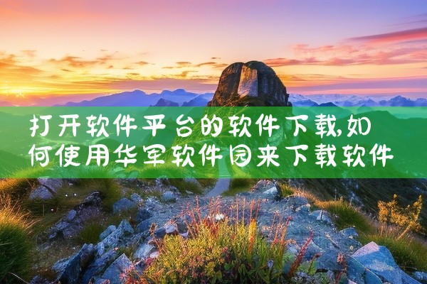 打开软件平台的软件下载