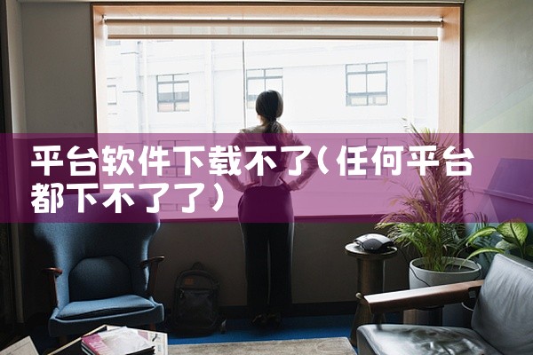 平台软件下载不了