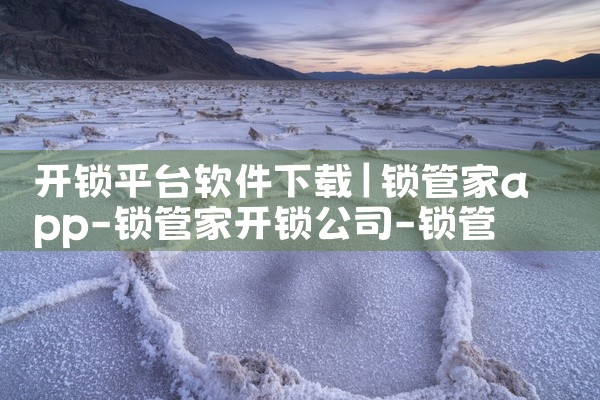 开锁平台软件下载