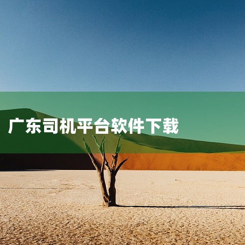 https://pan.baidu.com/s/1ENItibmV852GZaXWbcG8nw?pwd=cy9c 司小宝app司机版下载-司小宝货运平台手机版下载v5.11.6安卓版是一款出行类手机应|