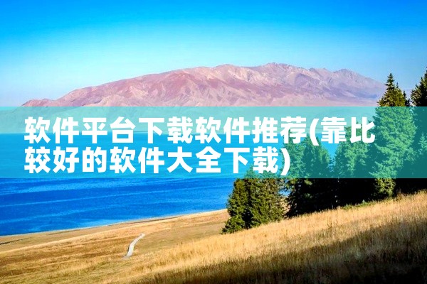 软件平台下载软件推荐